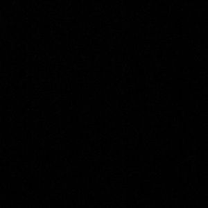 Meet your Posher, Carli